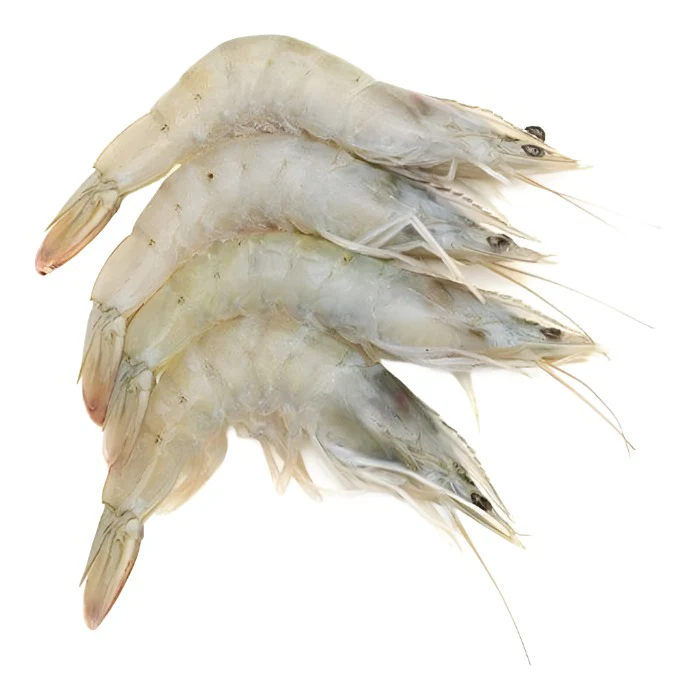 White Prawns